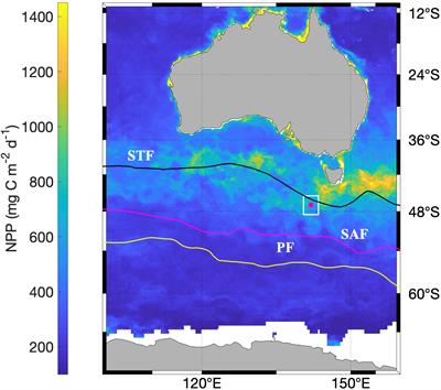Particle Fluxes at the Australian Southern Ocean Time Series (SOTS) Achieve Organic Carbon Sequestration at Rates Close to the Global Median, Are Dominated by Biogenic Carbonates, and Show No Temporal Trends Over 20-Years